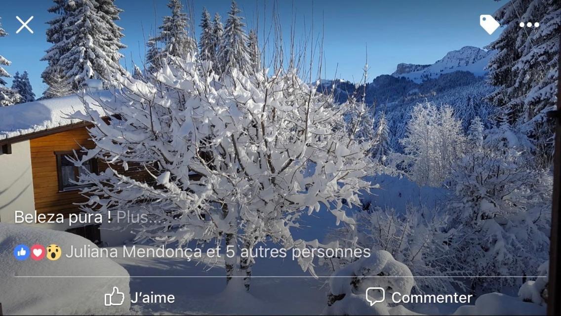 Route Des Joncs 300 Appartemen Les Paccots Exteriör bild